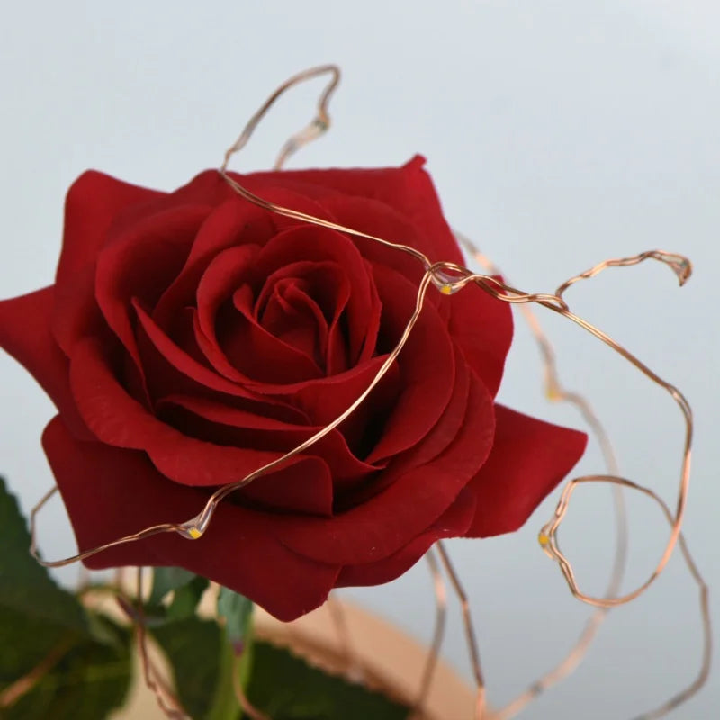 H16f7ee4fb8a84b55956f5b851aa3ed3fS